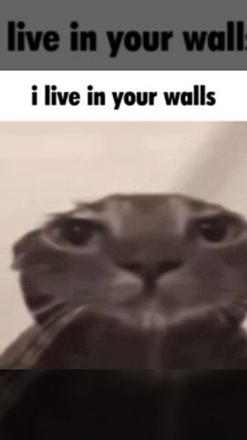 05-04-2025 смотреть онлайн