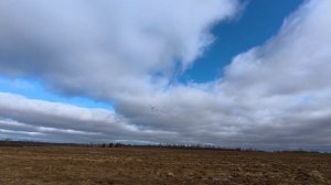 Подготовка к охоте на гуся.