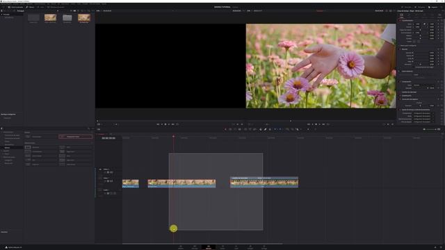 Super CAMARA LENTA con Davinci Resolve