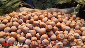 Фундук Барселонский обзор от Орехового Барона Walnuts Broker