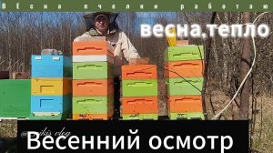 Весенний осмотр, ревизия семей