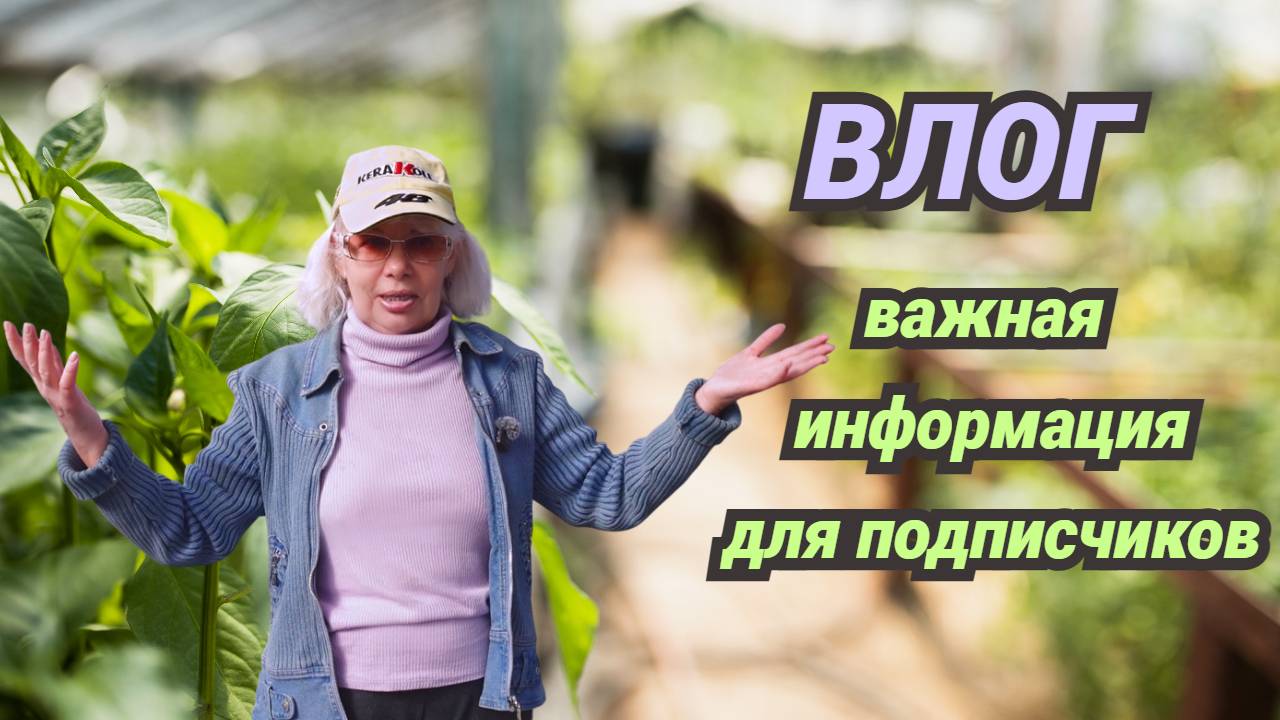 Что в саду/Решили купить грядки/Важные новости.Что дальше?