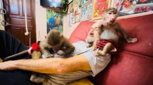 ТАК МИЛО! Люська и Манечка  ДЕЛЯТ ЛЮБИМОГО ПАПУ Влада!