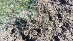 КАК ЖЕ СДЕЛАТЬ?