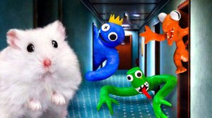 МУЛЬТИКИ ДЛЯ ДЕТЕЙ ХОМЯК ПРОСКАКИВАЕТ СКВОЗЬ СВЕТЯЩИЕСЯ КУБИКИ мультики для детей