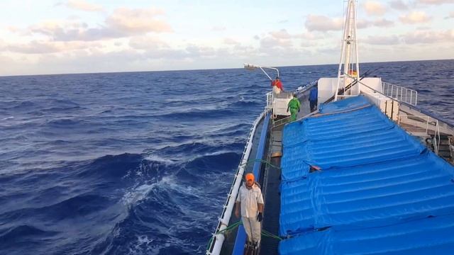 VIRAL#EFEK GEMPA BUMI DI GARUT??? MALAH DAPAT IKAN BERLIMPAH 30TON смотреть онлайн