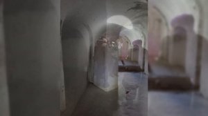 Экскурсия «Минск - Брест - Брестская крепость - Беловежская пуща - Минск»