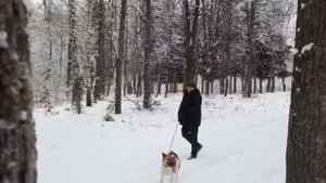 Игорь Тальков ( Новая дорога)