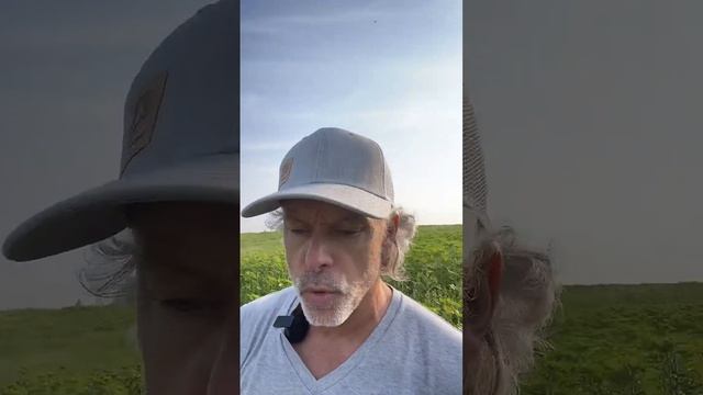 Discussion autour d’un café, samedi 3 août смотреть онлайн