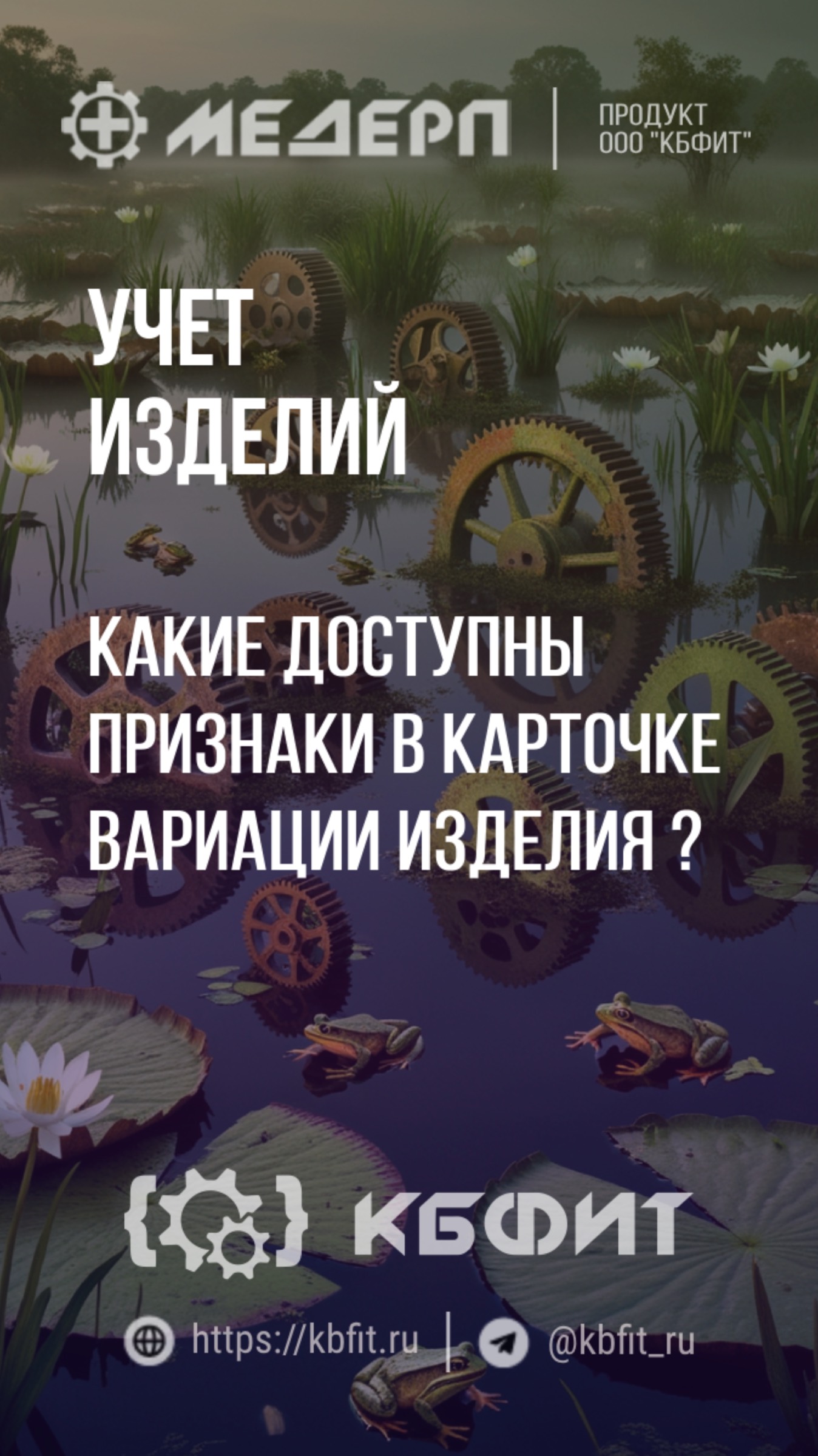 КБФИТ: МЕДЕРП. Учет изделий: Какие доступны признаки в карточке вариации изделия?