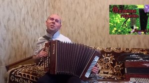 "Одинокая гармонь".("Снова замерло всё до рассвета").Кавер-версия.Гармонь.