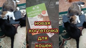 Когтеточка-лежанка для кошек