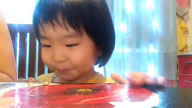 mukbang pine nuts 🌰 смотреть онлайн