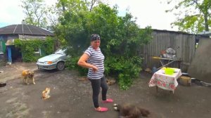 Жизнь в деревне. Готовлю зеленый борщ на костре.
