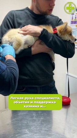 Поддержи Раду