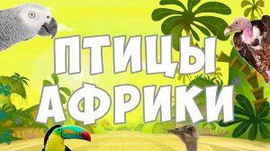 ПТИЦЫ АФРИКИ | ПОЗНАВАТЕЛЬНОЕ ВИДЕО ДЛЯ ДЕТЕЙ