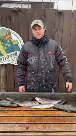Отзыв нашего гостя 05.04.2025