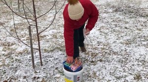 Как подготовить молодые саженцы к зиме.