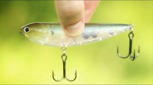 Уолкер Lucky Craft Sammy. Обзор приманки и отзыв о ней