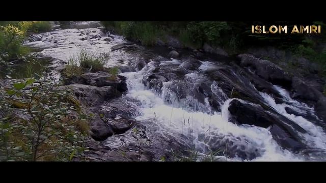 Abdulloh Domla • Allohga Chindan Oshiq Bo'lganlar😍// Абдуллох Домла • Аллохга Чиндан Ошик Булганлар смотреть онлайн