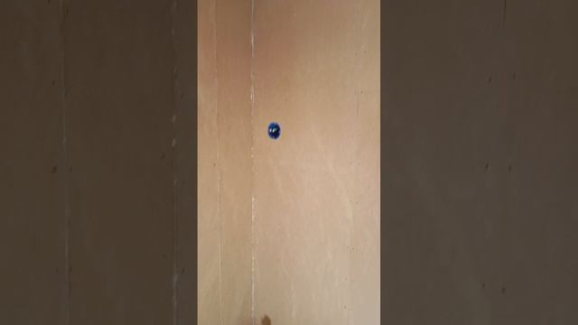 VID_20250404_175328