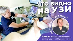 Зачем нужно УЗИ?