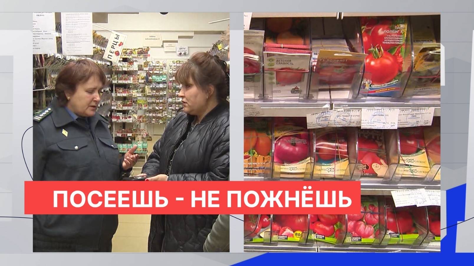 118 сортов семян без их регистрации в госреестре выявлено в Нижегородской области