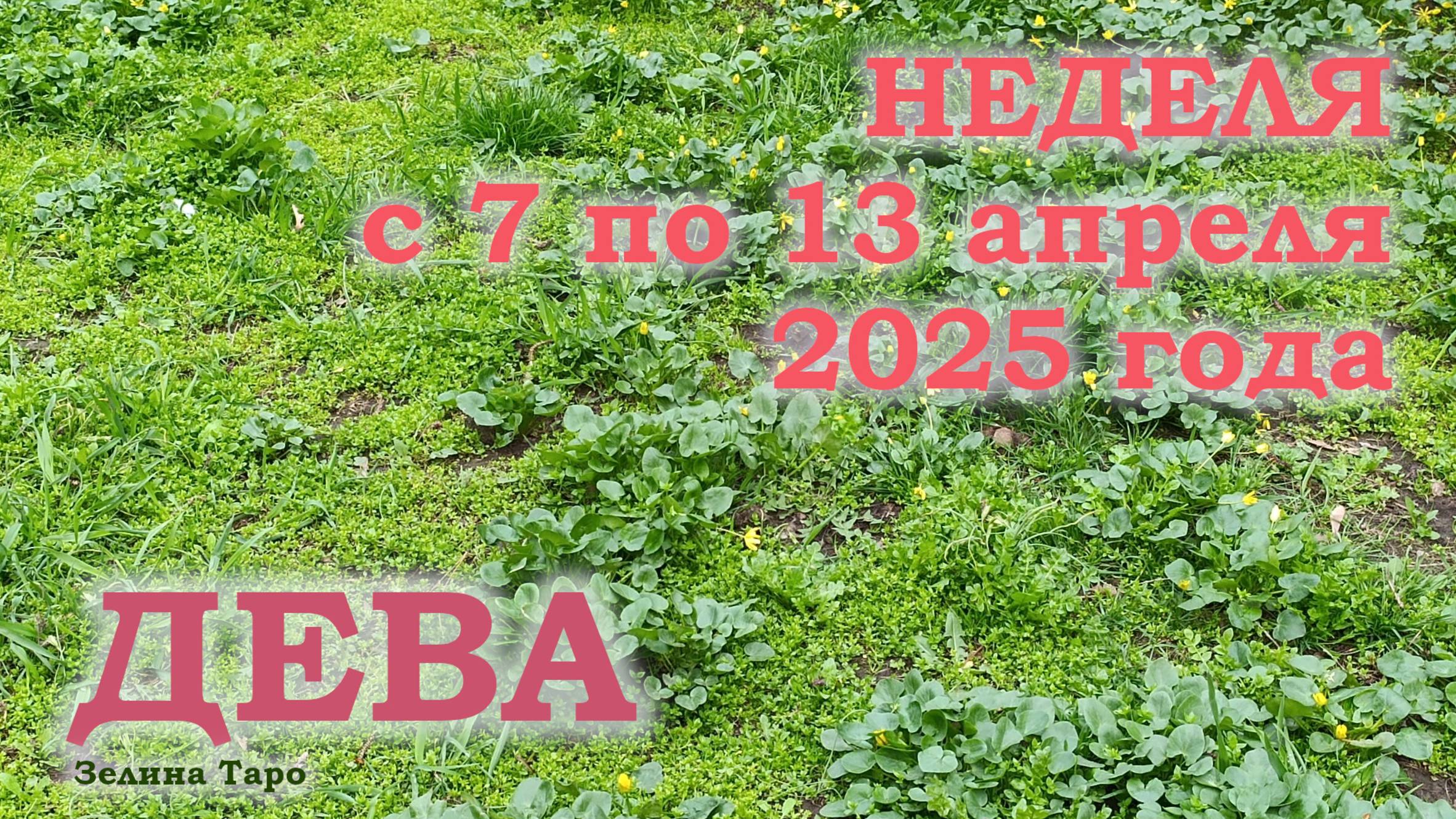 ДЕВА | ТАРО прогноз на неделю с 7 по 13 апреля 2025 года