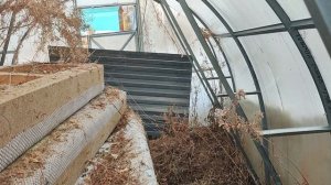 Дальневосточная весна, Хабаровск