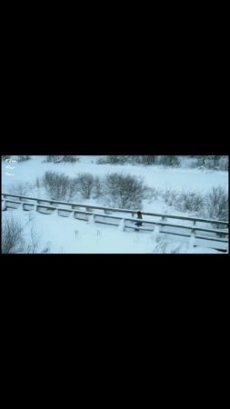 Счастье в конверте / Фильм, 2019