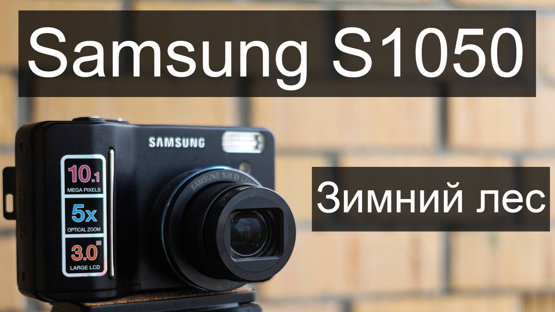 Зимний лес на фотоаппарат  Samsung s1050 из 2007 года
