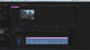 Canon Cinema Raw Light Workflow in 2021
