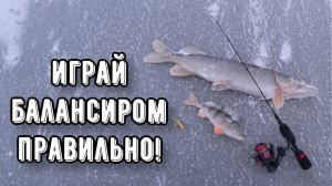 КАК проводить БАЛАНСИР! Секреты уловистой игры