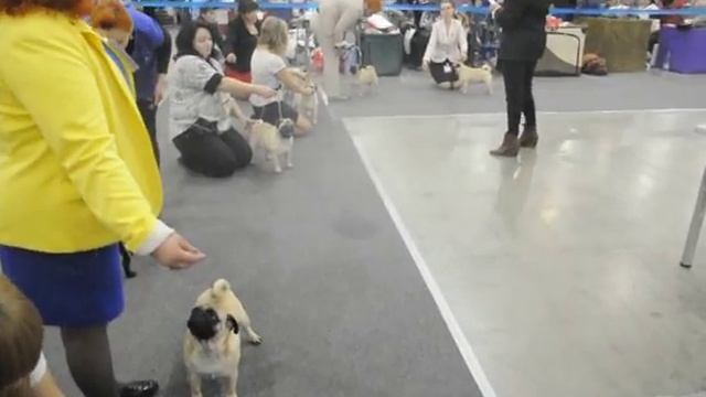 россия 2 2015 068 смотреть онлайн