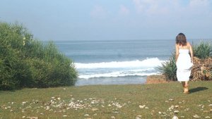 9183886-uhd_3840_2160_30fps