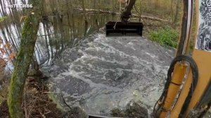 A Large Dam In The Middle Of The Forest - Beaver Dam Removal With Excavator No.184 - Cabin View