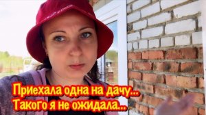 Приехала одна на дачу/Такого поворота я не ожидала/Начались проблемы с дачей/Что с моей рассадой???