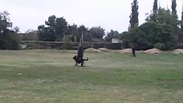 Рядовость МВ Сицилия смотреть онлайн