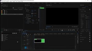 NEST - Adobe Premiere Pro (Video editor)