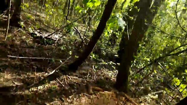 Наш первый дом из дерева смотреть онлайн