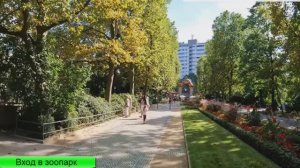 Берлинский зоопарк обзор пешая прогулка медведь Панда туристическая поездка