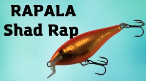 ЭТО ЛЕГЕНДА! Воблер Rapala Shad Rap