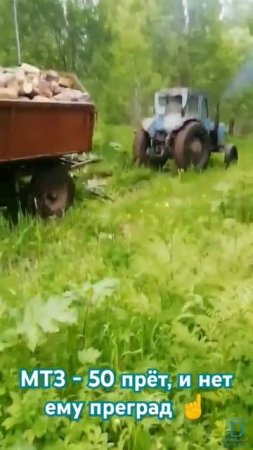 МТЗ 50 тащит на тросу телегу с дровами