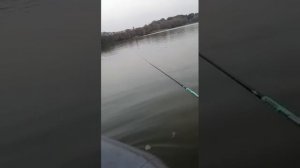 погоня за уплывающей удочкой