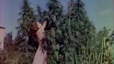 Архивный контент CCCP - CCCP 1947