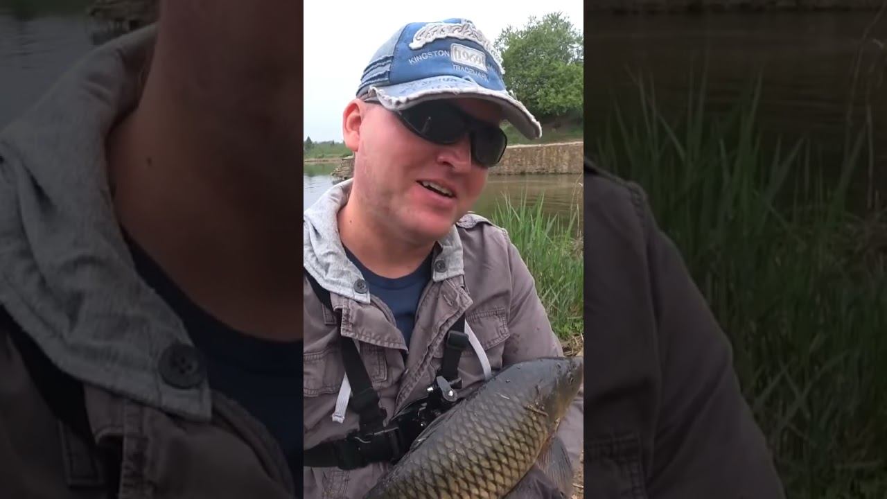 Сазан на опарыша #рыбалка #карповаяловля #fishing #shorts