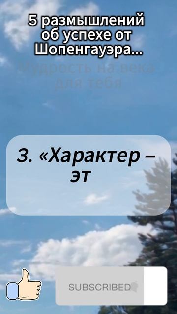 5 размышлений об успехе от Шопенгауэра...