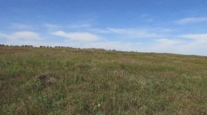 Исчезнувшая деревня Лубошино, Аткарский район.