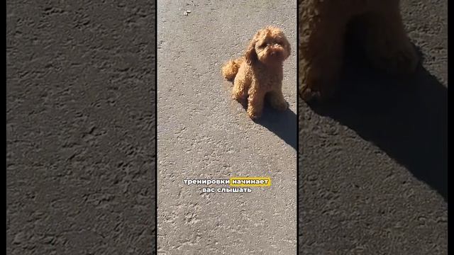 Друзья, что для вас идеальная прогулка? 
Поделитесь в комментариях ⬇️