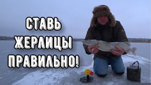 Как и где ставить ЗИМНИЕ ЖЕРЛИЦЫ